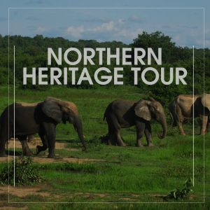 northern-heritage-tour
