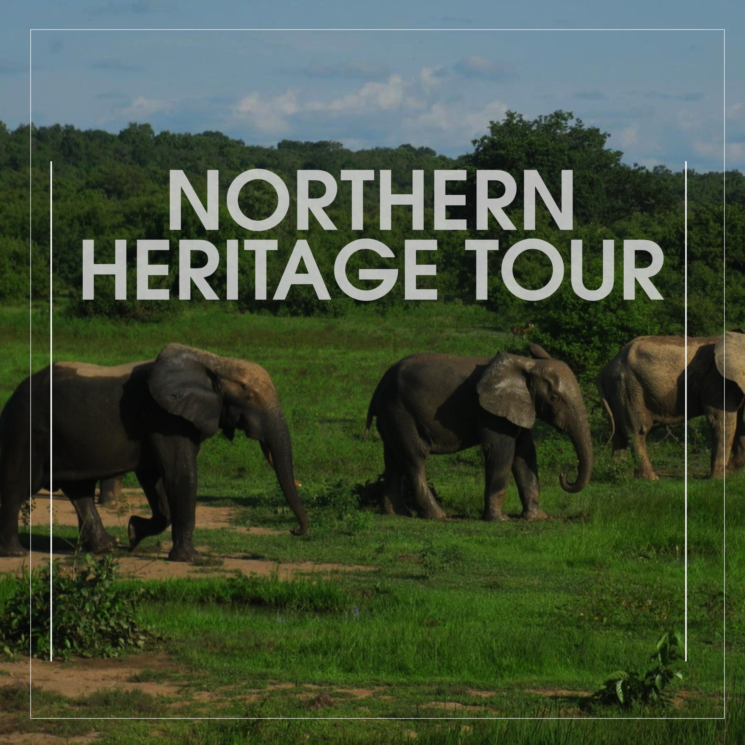 NORTHEN HERITAGE TOUR RATE FLYER scaled